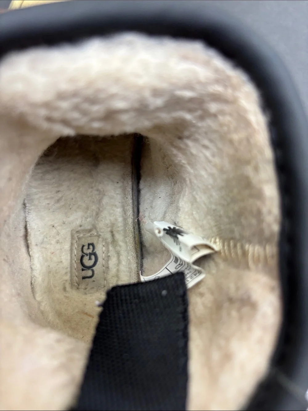 UGG cream colored